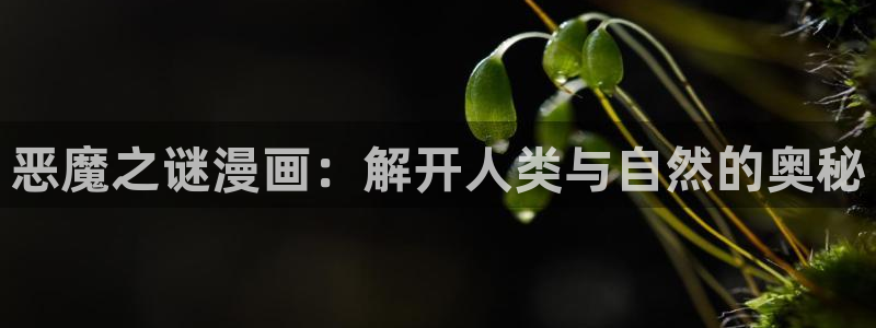 今天开始做女神漫画免费